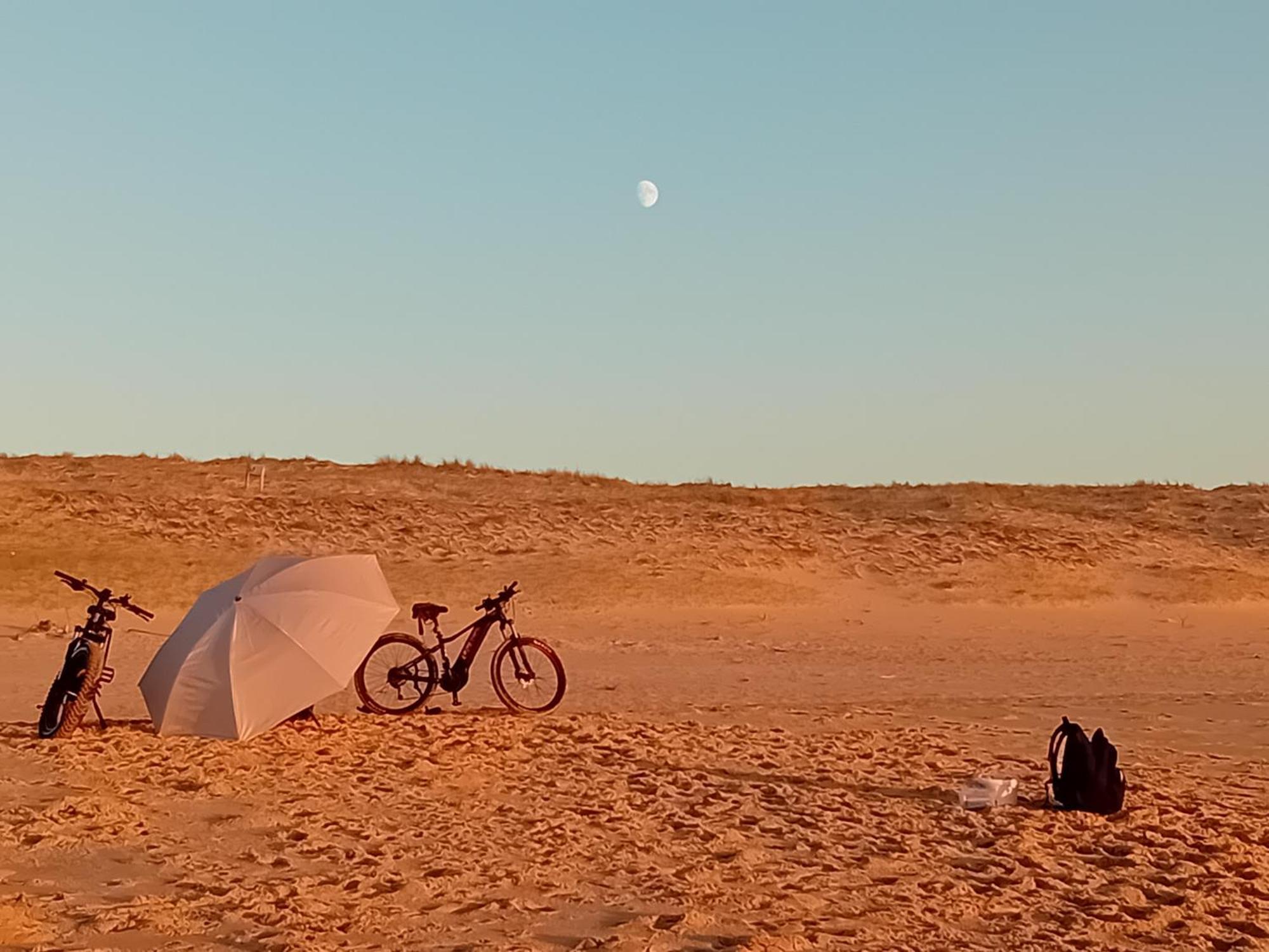 Le Spot Studio'Hotel "Les Pieds Dans Le Sable " 세노스 외부 사진